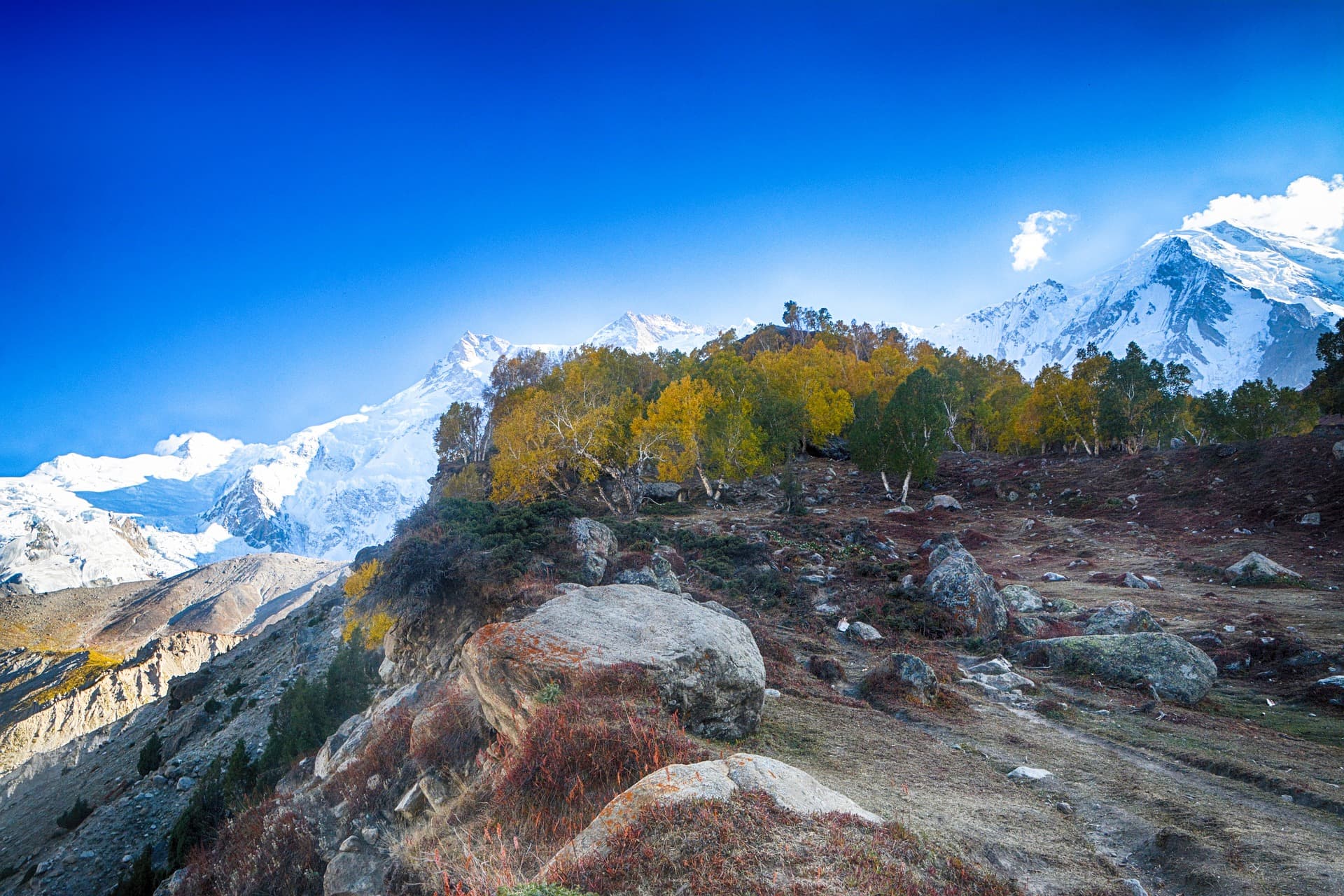 Fairy Meadows & Nanga Parbat (8,126m)